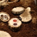 정글스토어 이미지