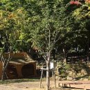 환경자원사업소 축구장 이미지