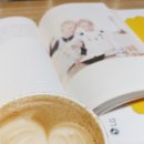 폴바셋서머셋