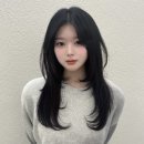 모델헤어아트