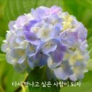 행복한 아침 이미지