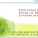 일일예화말씀묵상 2021년 10월 15일 (금) -예수는 알곡과 쭉정이를 골라 심판하십니다 이미지