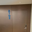 Tree Pet(트리펫) | ​🐾 [속초] 반려견과 함께하는 완벽한 힐링, '카시아 속초' 펫룸 투숙 후기