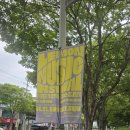 혼즈 | 2025 레몬뮤직페스티벌 다녀온 후기ㅣ글렌체크ㅣ혼즈ㅣ오렌지맛담배