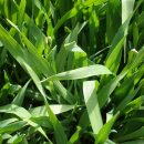 정읍휴게소(하) 이미지