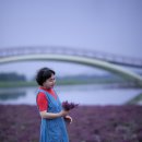 2026 / 07 /04 미생의 다리 &amp; 시흥갯골~ 1 이미지