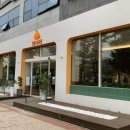 도도메디 이미지