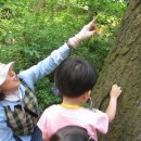 대원숲속어린이집 이미지