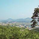 금강솔바람길 이미지