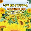 법수초등학교 | 함안 강주 해바라기 없는 해바라기축제 주차정보 개화상황(6.18 방문)