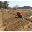 현일농장 이미지