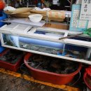 고성시장 이미지