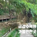 충청남도 산림박물관 | 가볼 만한 곳 금강 수목원 추천 방문 후기 (ft. 충청남도 산림 박물관 창연정 및 열대온실 관람시간과...