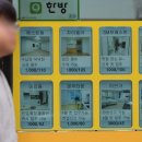대한민국 아파트 사랑 이 정도였어?…경매 법정 인기 압도적 1위 이미지