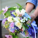 까사비용 이미지