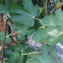 뜨락농원 이미지