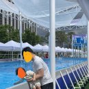 NR-1[세종로]-상-430 | 광화문 서울썸머비치! 쏜살같이 다녀온 후기 (주차, 샌드비치존, 꿀팁)