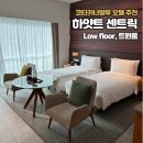 [코타키나발루] 호텔 숙소추천 하얏트 센트릭 low floor 트윈룸 객실 후기