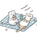 미라클미트