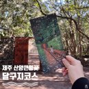 달구지 | 제주 산양큰엉곶 달구지코스 후기 | 토끼체험, 포토스팟, 제주투어패스 정리