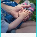 사회적협동조합 강북행복한돌봄 이미지