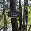 월정사 탑돌이 이미지