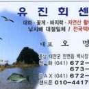 유진회센타 - 19905 | 유진회센타