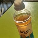 샛별여행 이미지