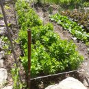 정태농장 이미지