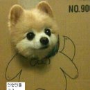 진짜 이미지