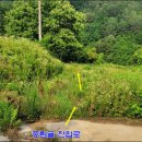 대산초등 이미지