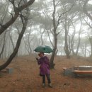 아라메길 (천년미소길-순환) 네이버블로그