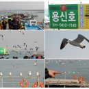 2016년6월19일 정기투어공지- 충남 서산 삼길포항 이미지