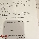 분당엔피엘경매학원 이미지