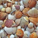 청라루비동물병원 이미지