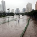 온천천일대6 이미지