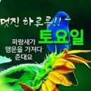 토요일 이미지