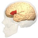 11500-17-45-15 이미지