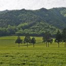 대한농장2 이미지