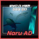 나루애드 네이버블로그