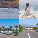 대정시크릿 | 제주 돌고래 요트 투어부터 카트 등 액티비티 후기와 할인 예약 팁