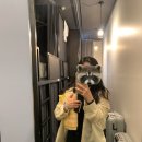 호주 시드니 숙소 후기 더 팟 시드니 The Pod Sydney