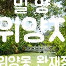 이팝인테리어 이미지