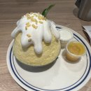 김해터미널쇼핑센터 | 🇹🇭[태국/방콕] ep.3