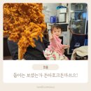 일심당 | 쌍문동 돈카츠 맛집 일심당에서 저녁먹고왔어요!