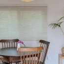 퐁낭아래 이미지