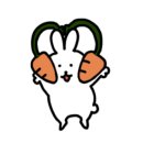 제주 알모 이미지