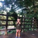 (주)신어산 자연숲캠핑장 이미지