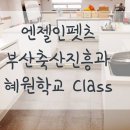 부산 강아지수제간식 만들기 원데이클래스! 이번엔! 부산시와 함께합니다! (Feat 혜원학교)