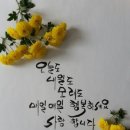 늘푸른센터 이미지